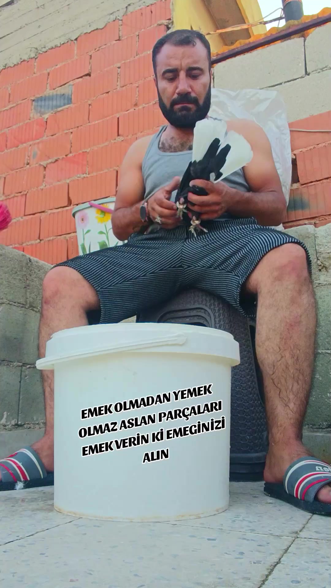 @🕊️Elvancı Celal 🕊️
