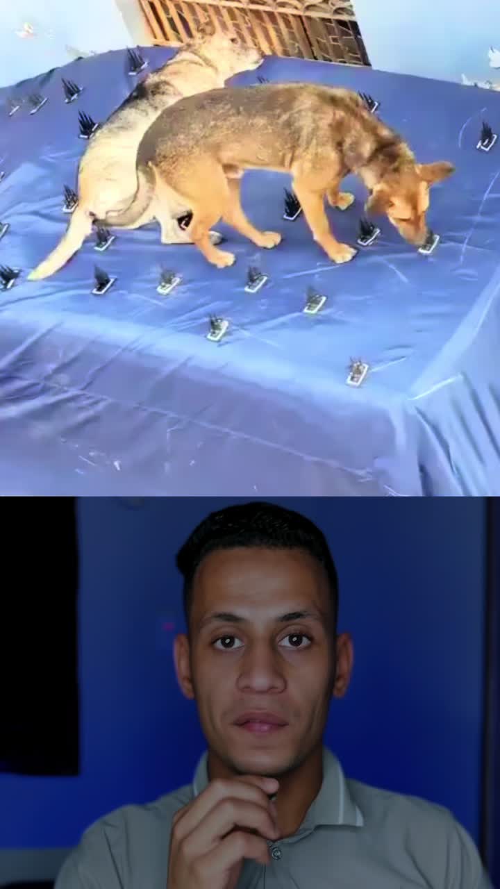 @محمد عثمان - Mohamed Othman