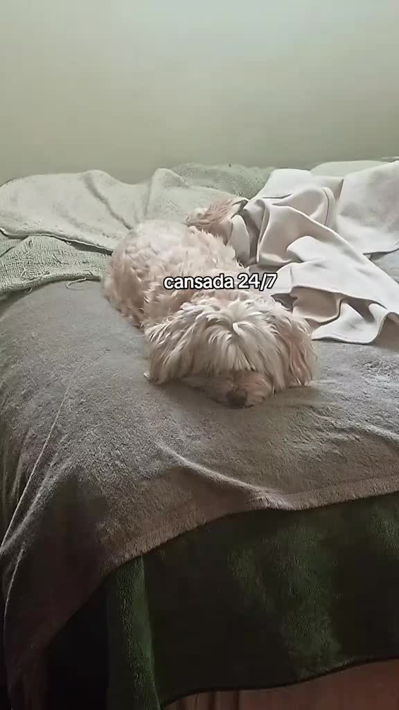 @Sophia Ramos