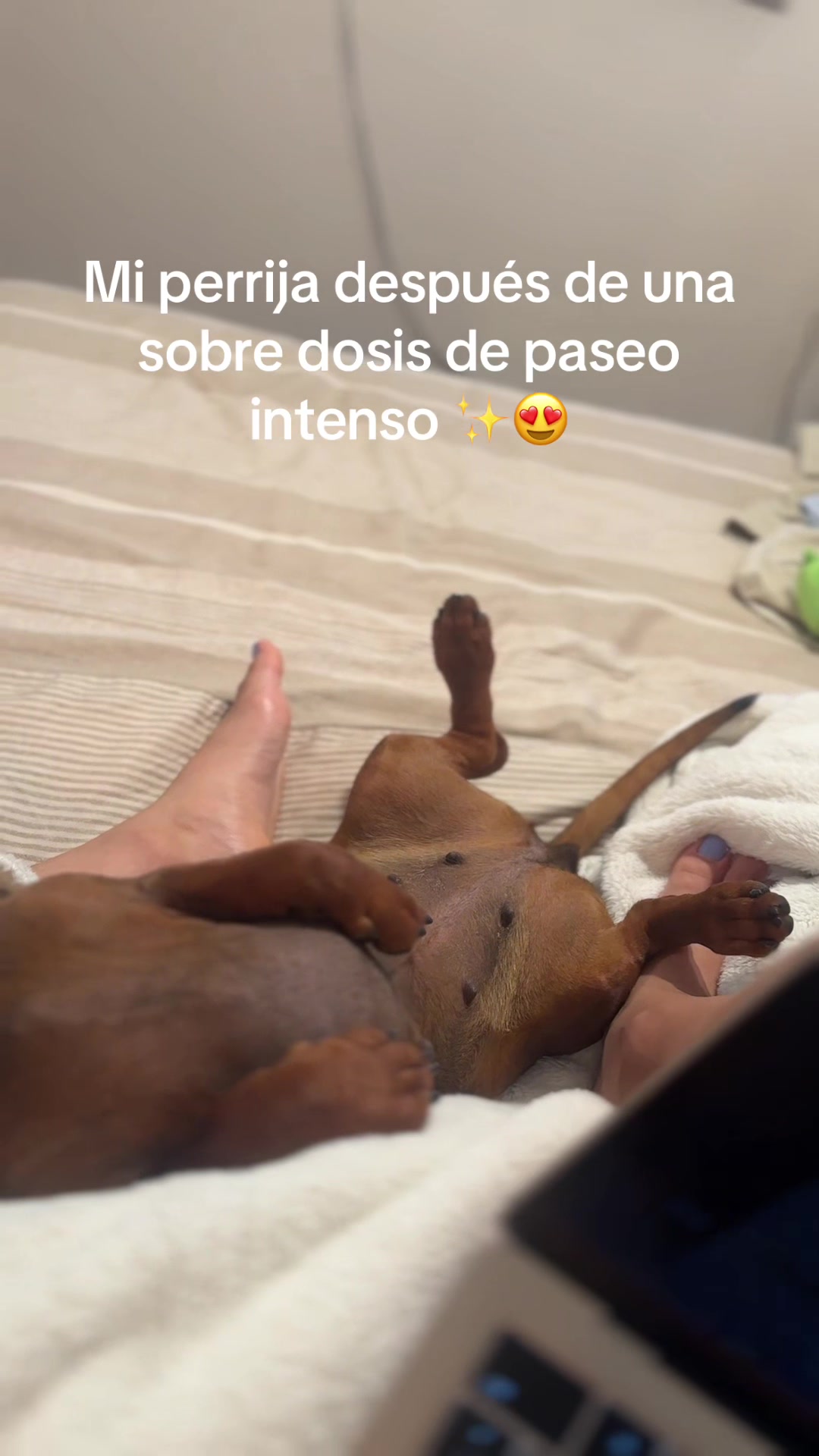 @Isabella Tangarife