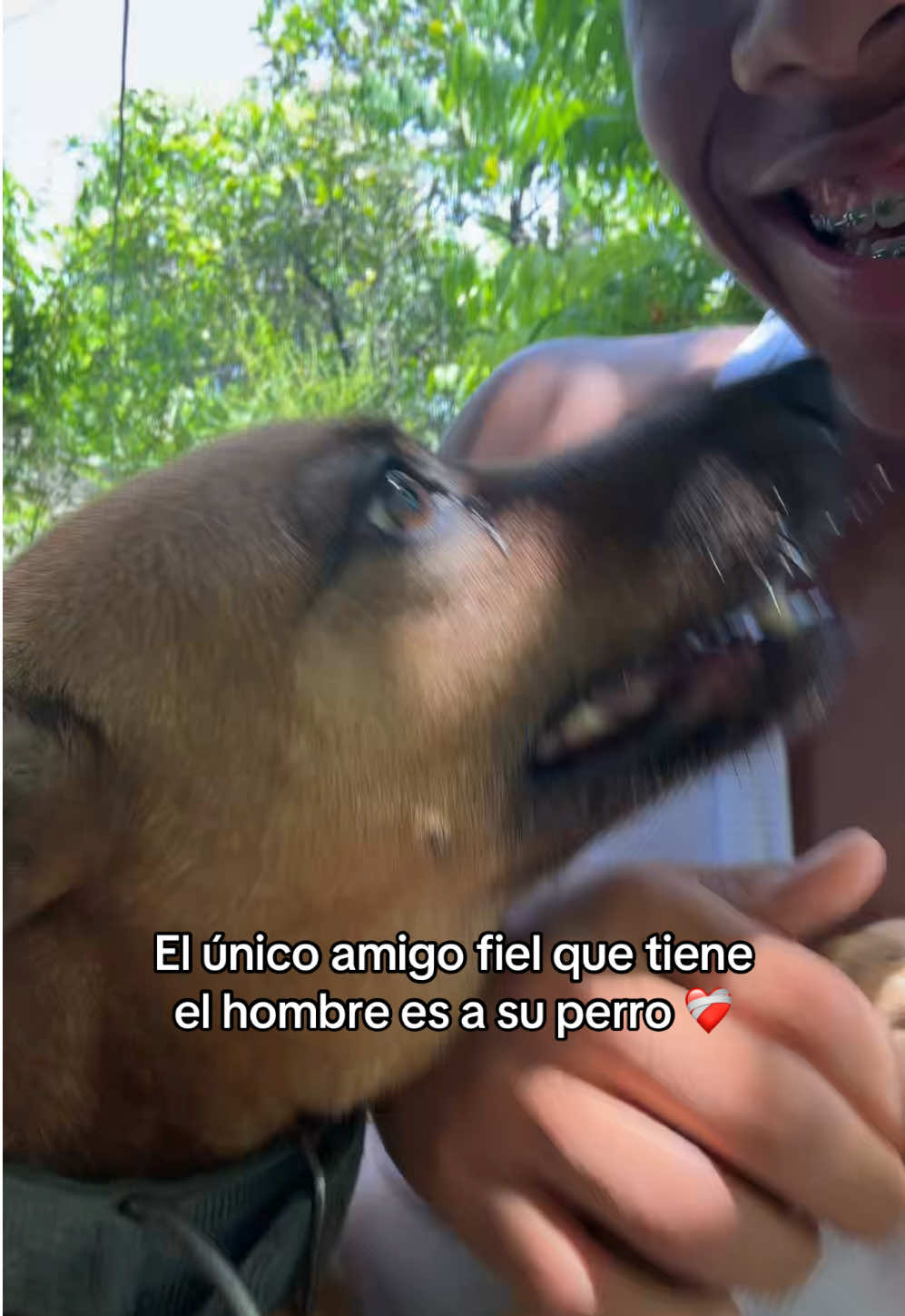 @2009🦇🇩🇴