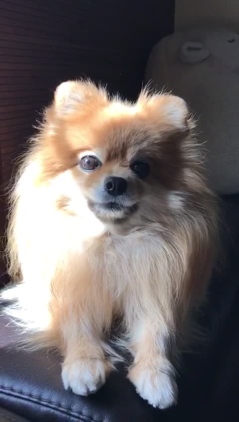 @busiya_cutie🐻♥️