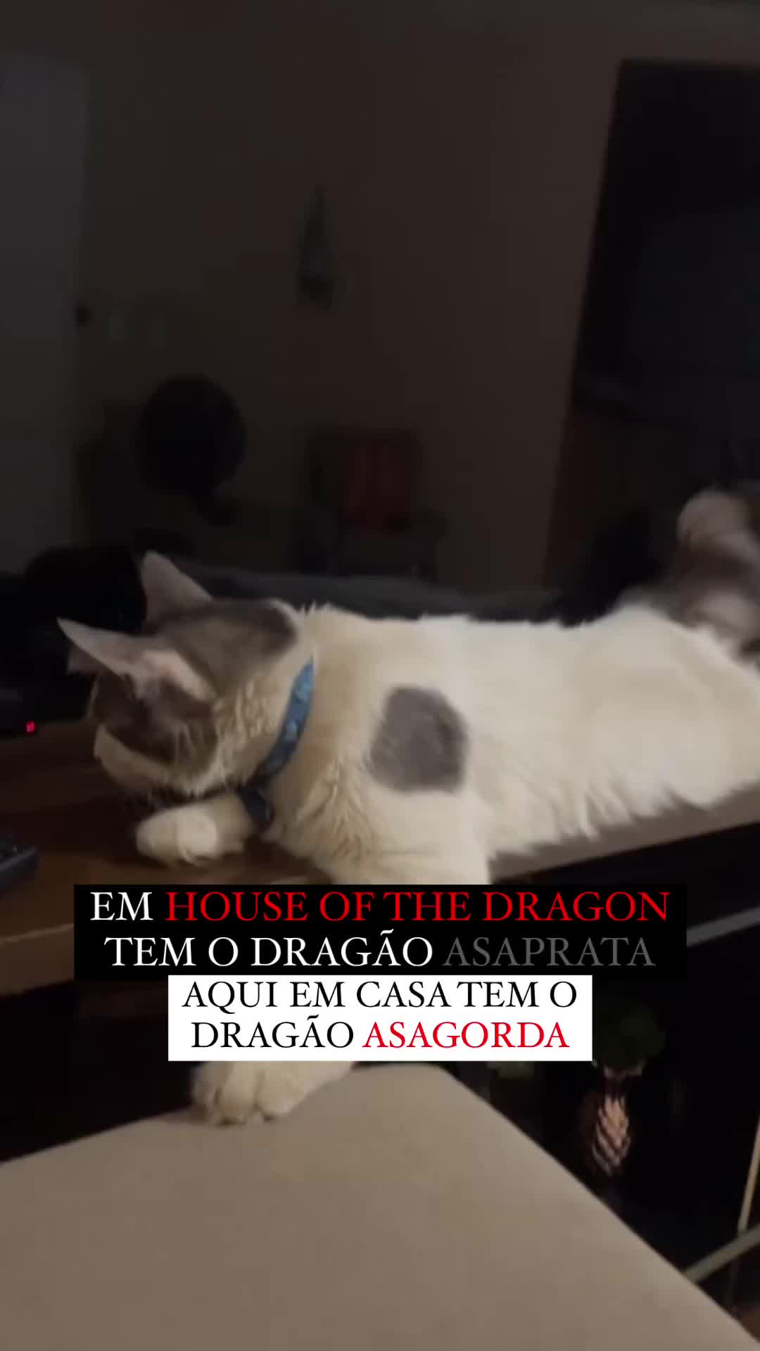@O The Flash Barbosa 😺