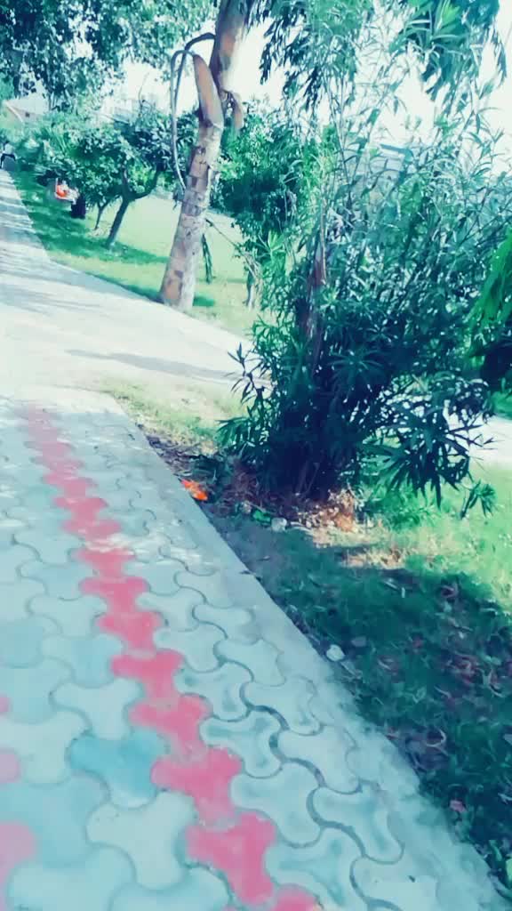 @user9508601305899