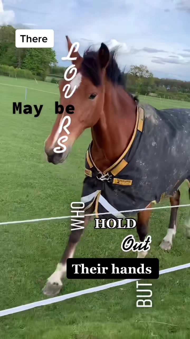 @ypequestrian