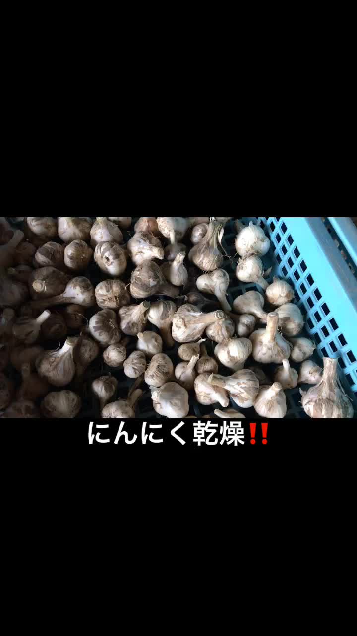 @アグリノムラ