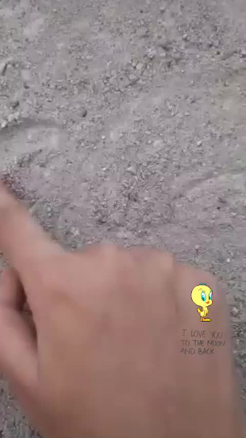 @Rithii.....