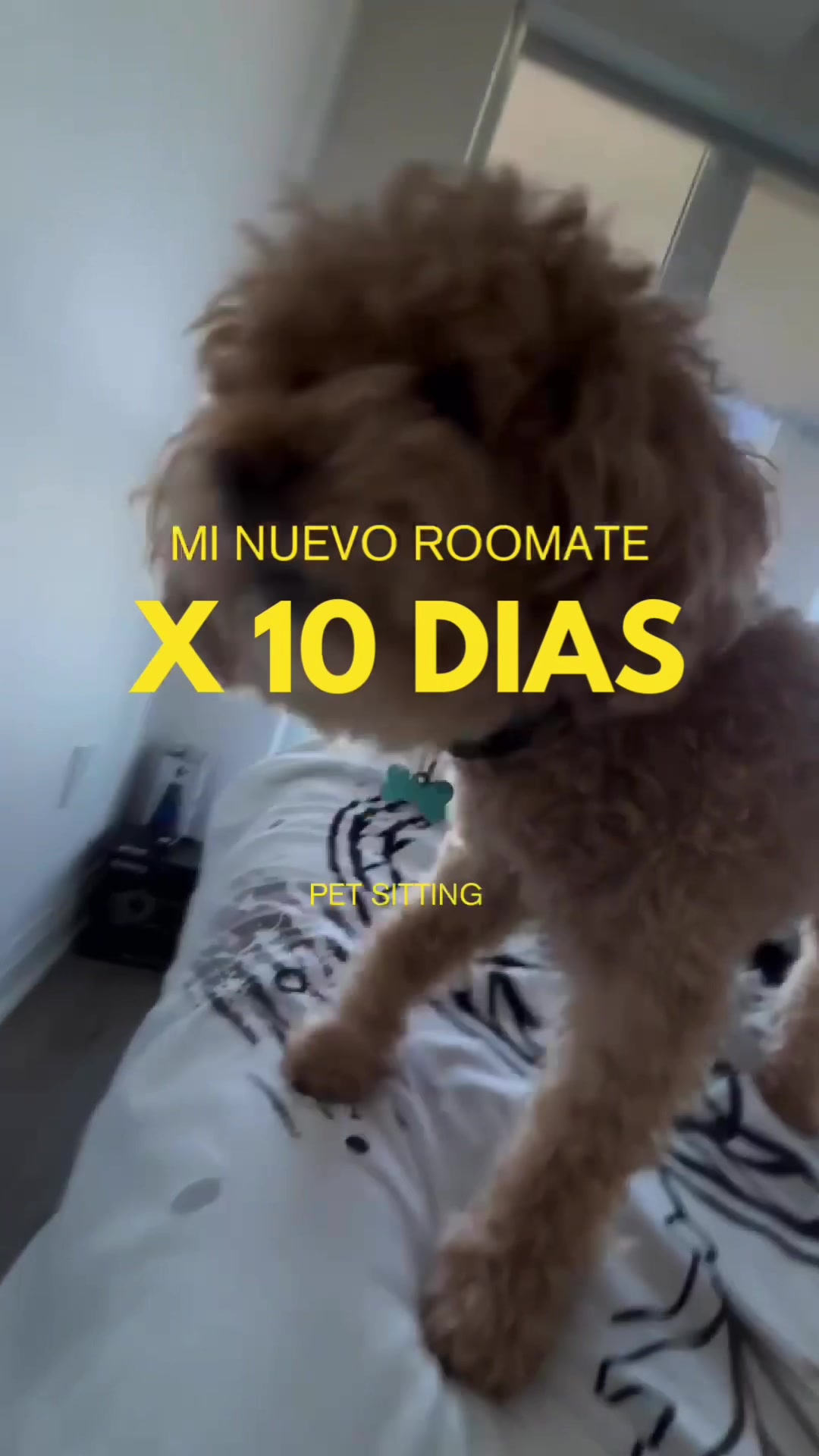 @kari🐶🇨🇦