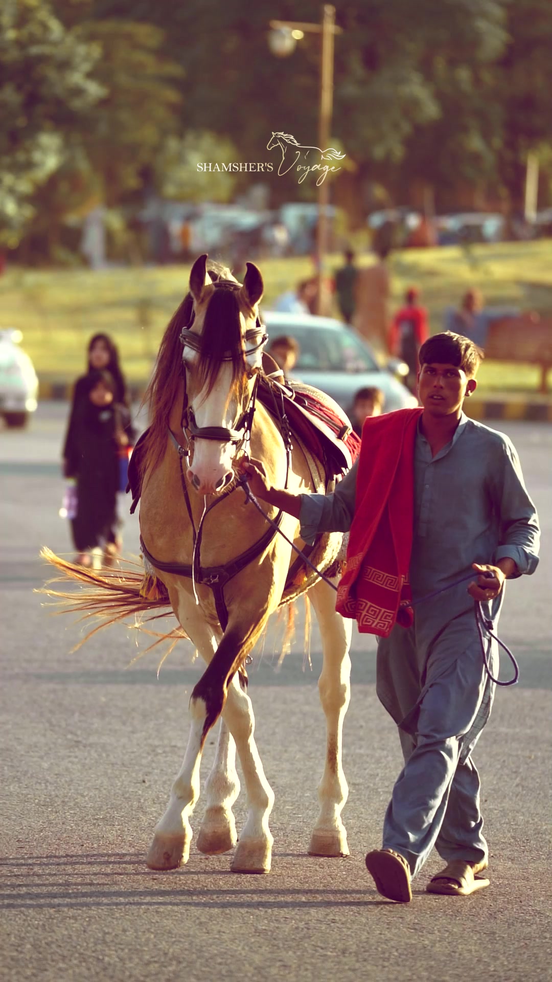 @SHAMSHER KHAN NIAZI | PAKISTAN