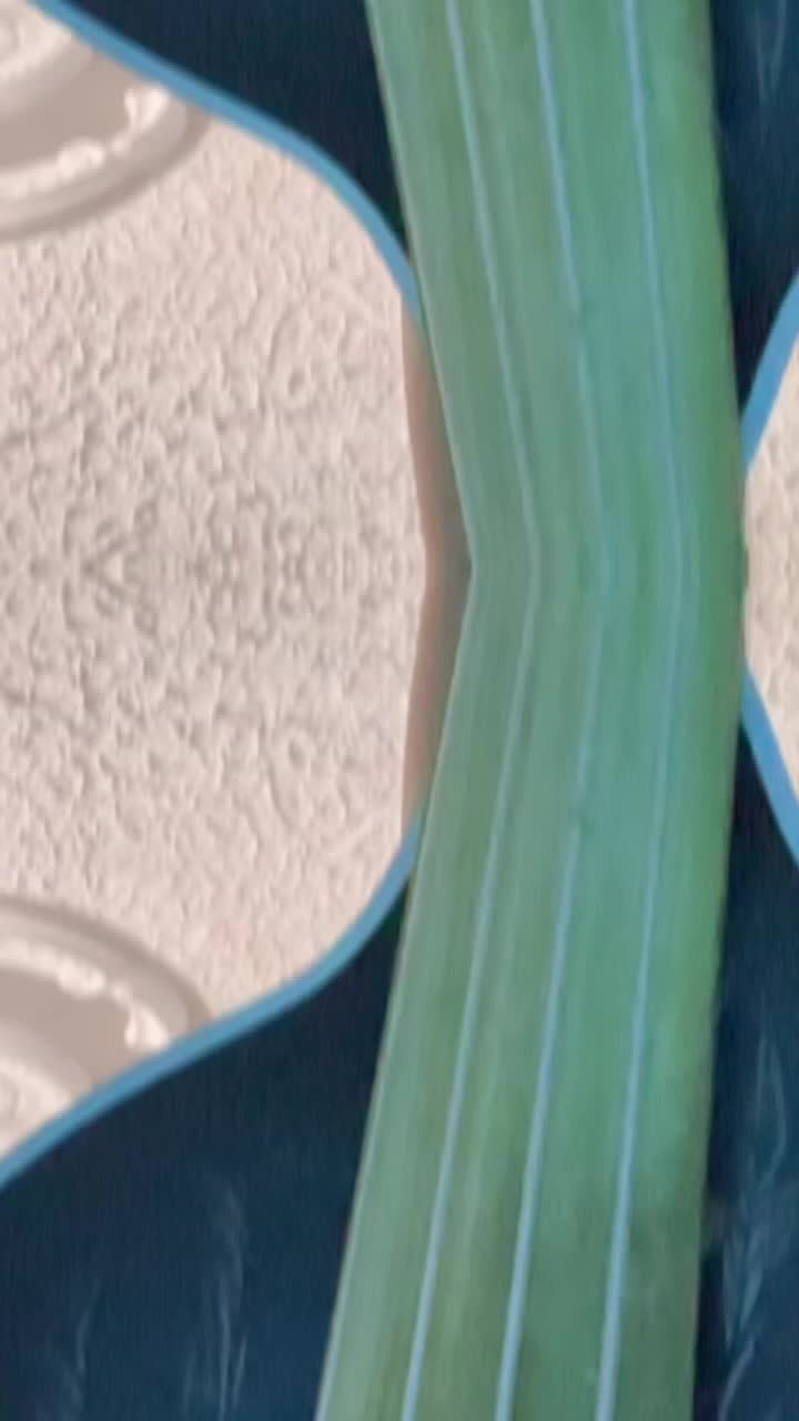 @𝖄𝖔𝕿𝖊𝖑𝖇𝖆𝖘𝖘