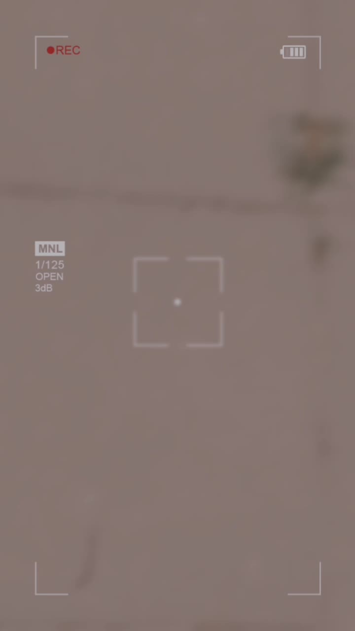 @🔥 𝐄𝐒𝐌𝐄𝐑 🔥