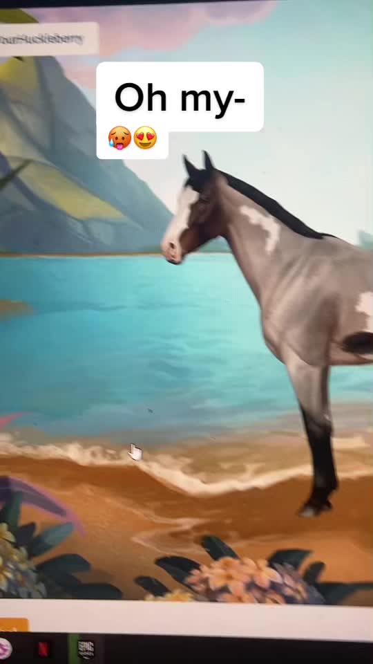 @Horse reality🤍