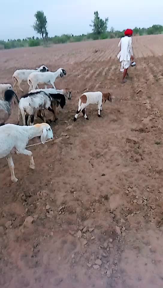 @Sailesh Dewasi Thoor