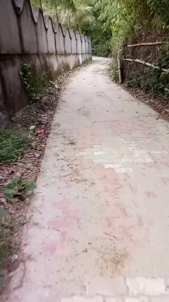 @vishmaan0431