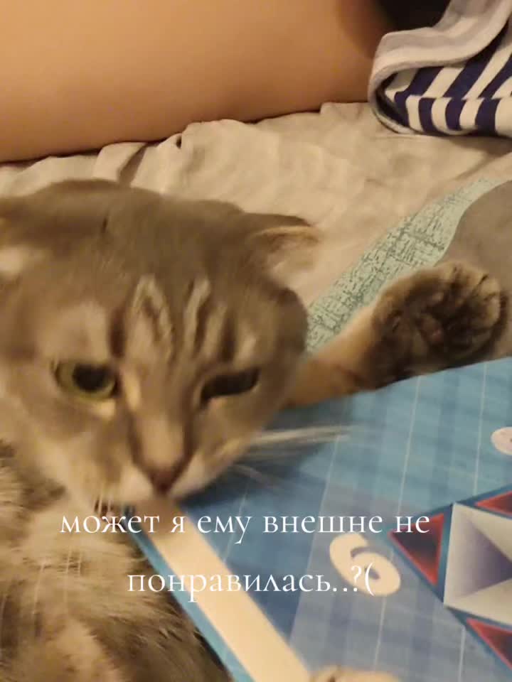 @абнимаца🫐