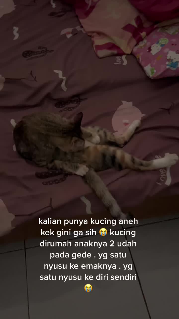@Cottanish