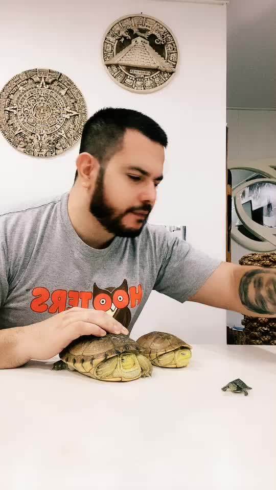 @johnbocanegrachacon