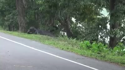 @Saju Varghese