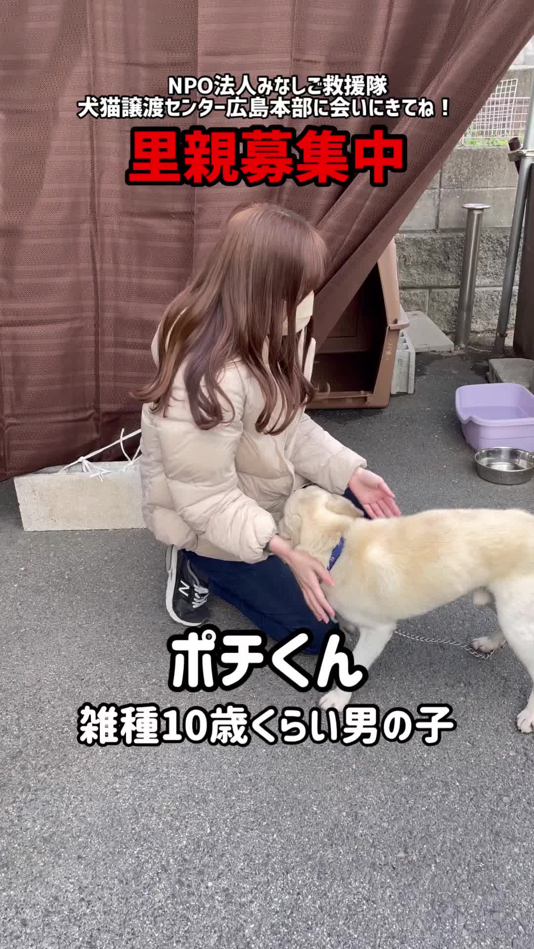 @みゆといぬ。