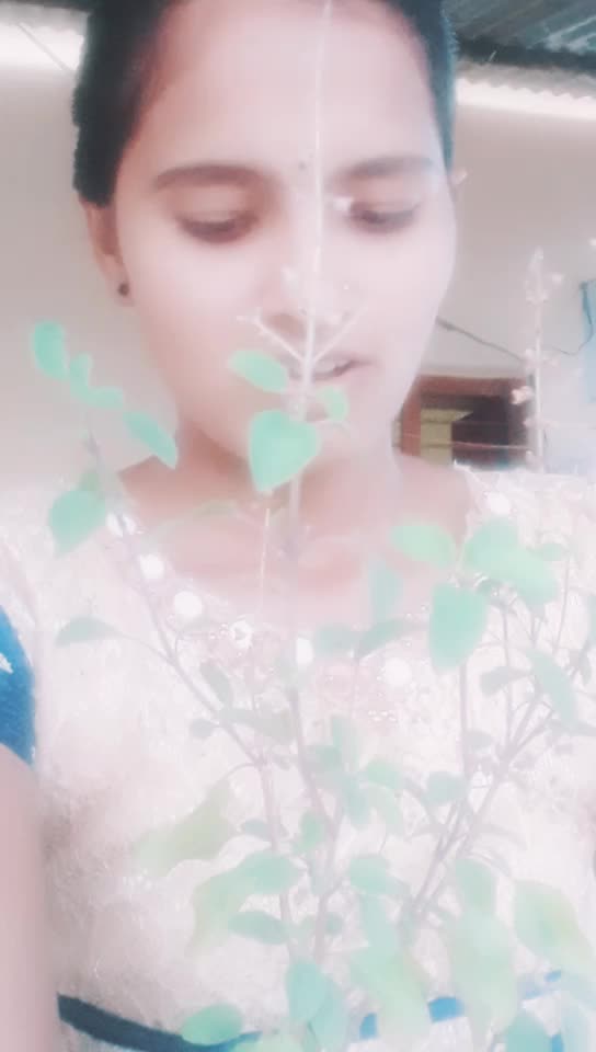 @saileela