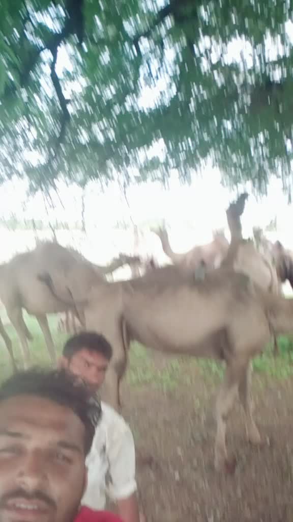@user184616690944