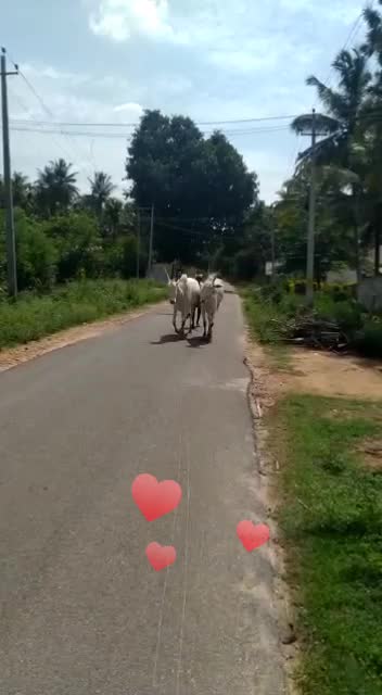 @ಭರತ್ ಗೌಡ್ರು