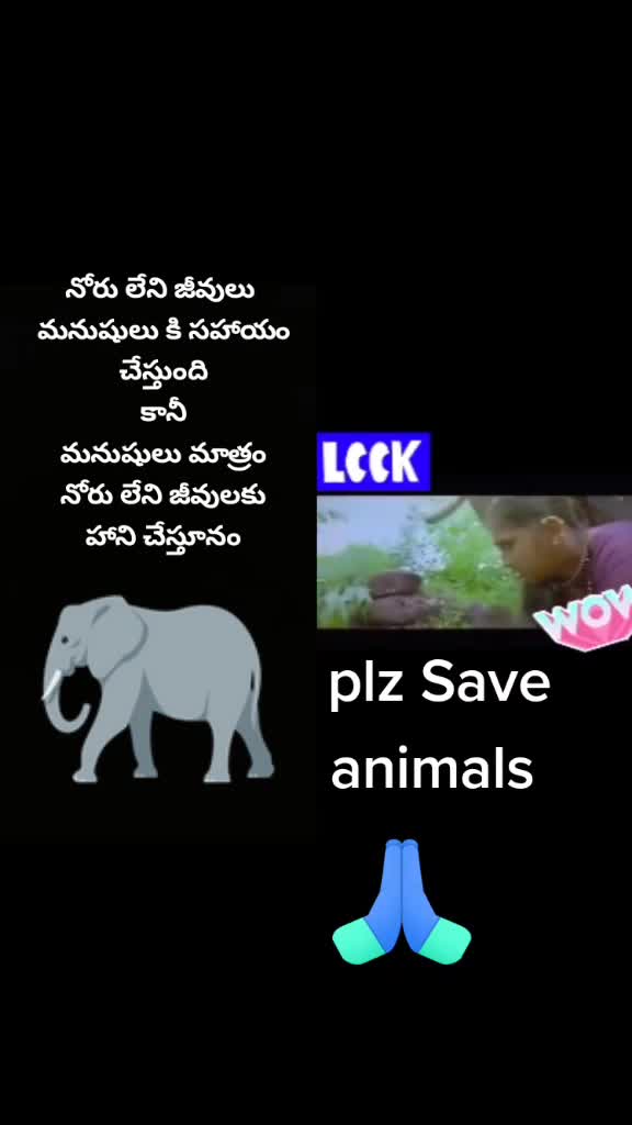 @🔥rowdy_pilla 🔥