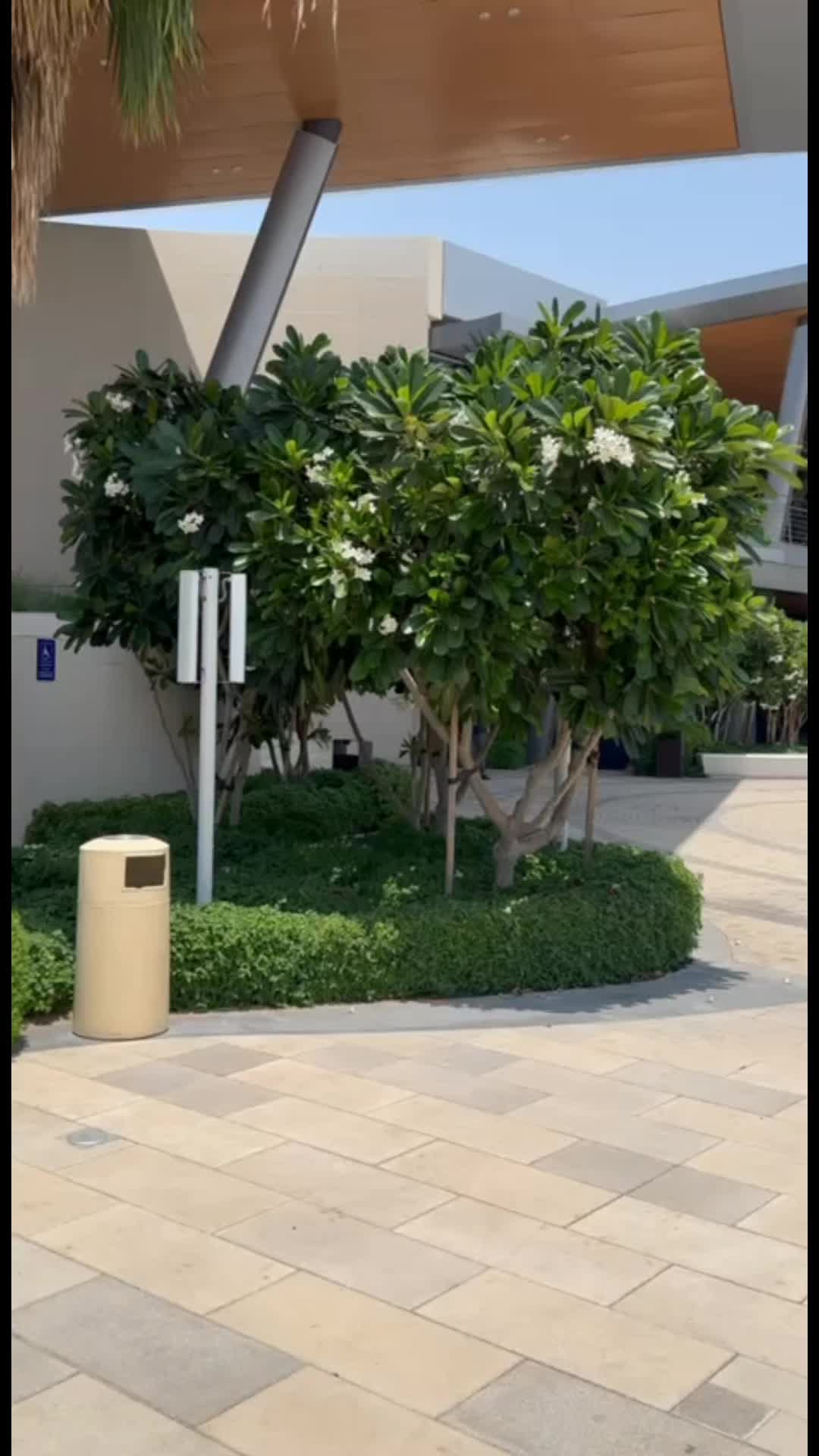 @Mr'Dubai