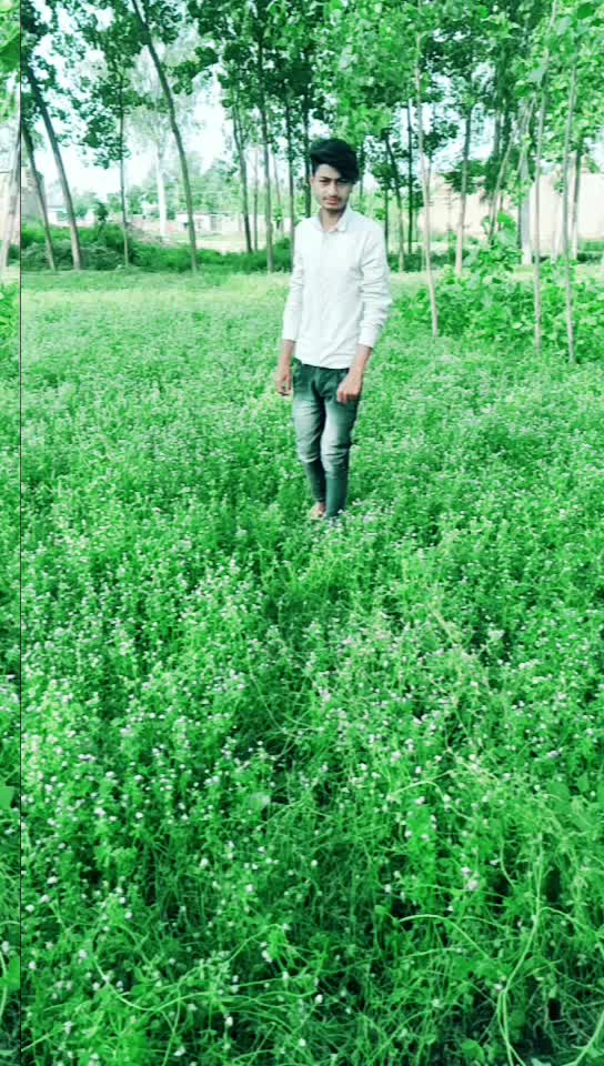 @Ali Salman Asraf