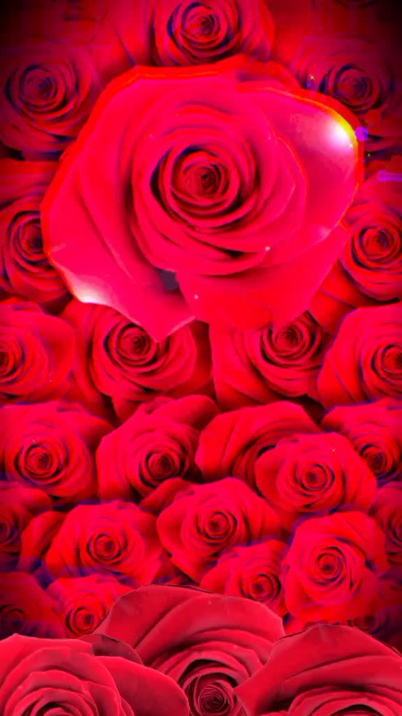 @ولد القصرين 🥰