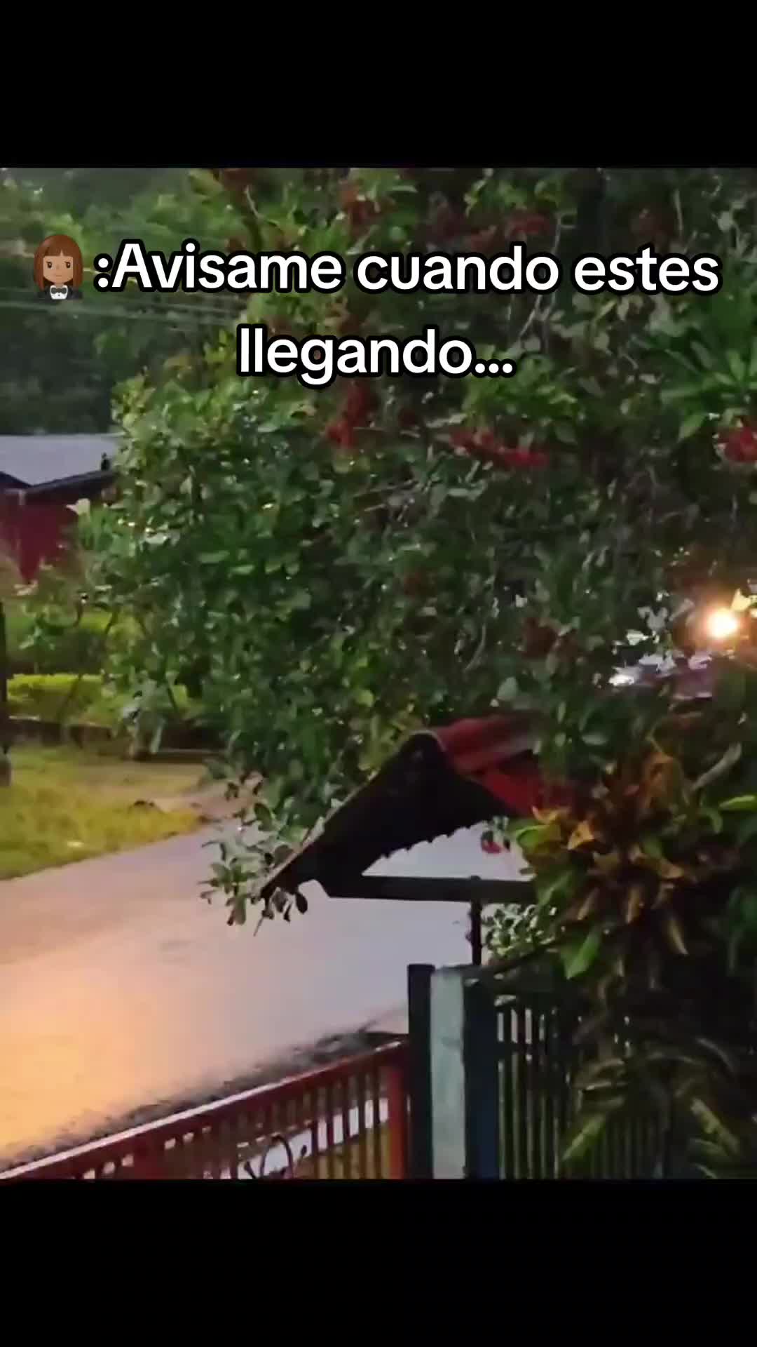 @Luchito98🚜