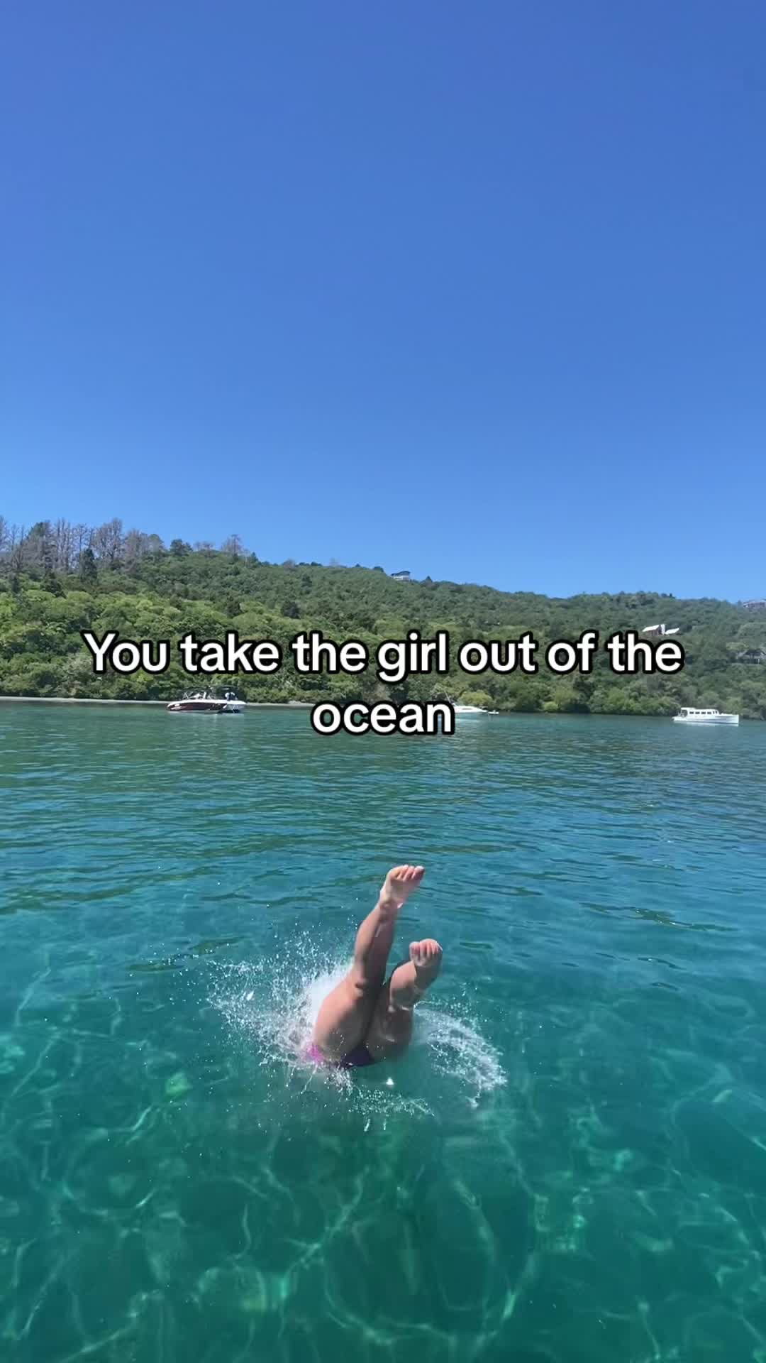 @🤿🌊🌺🐚☀️🦭