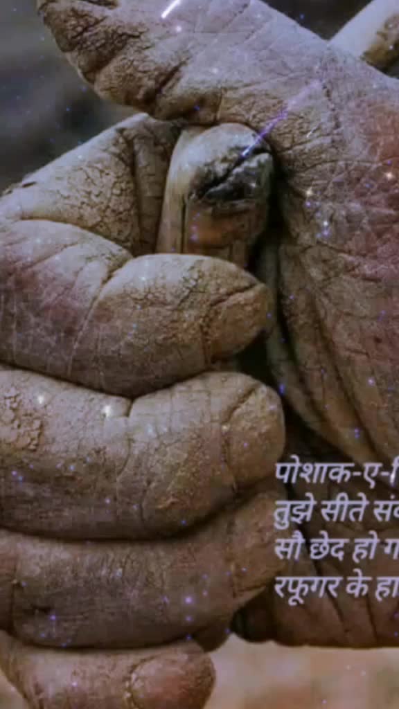 @user8991030505441