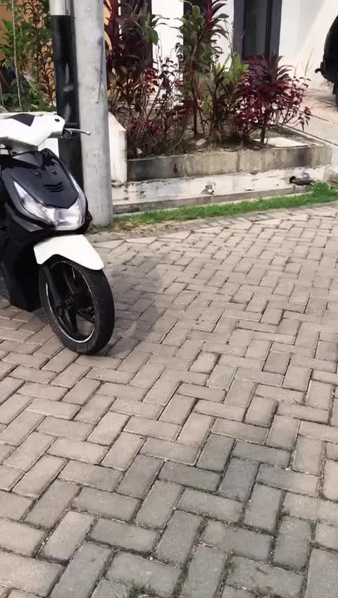 @gutun
