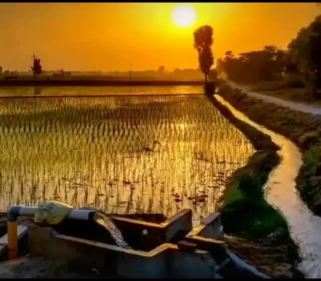 @Sukhpal Sukh