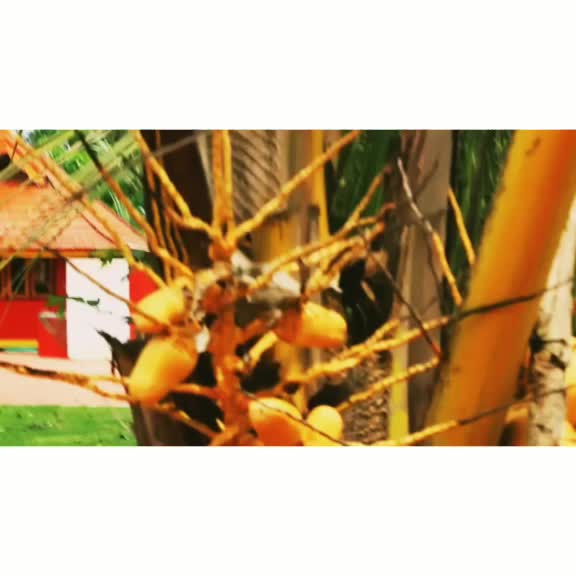 @Ravanan