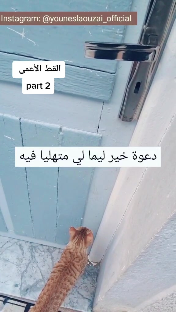 @younes.LawZay