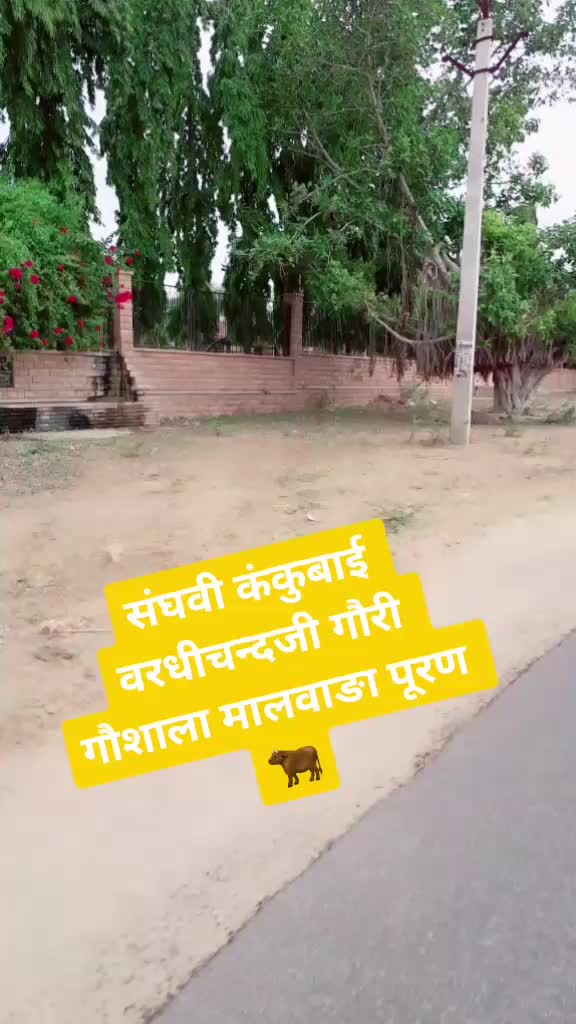 @😎Marwadi Choro🤘