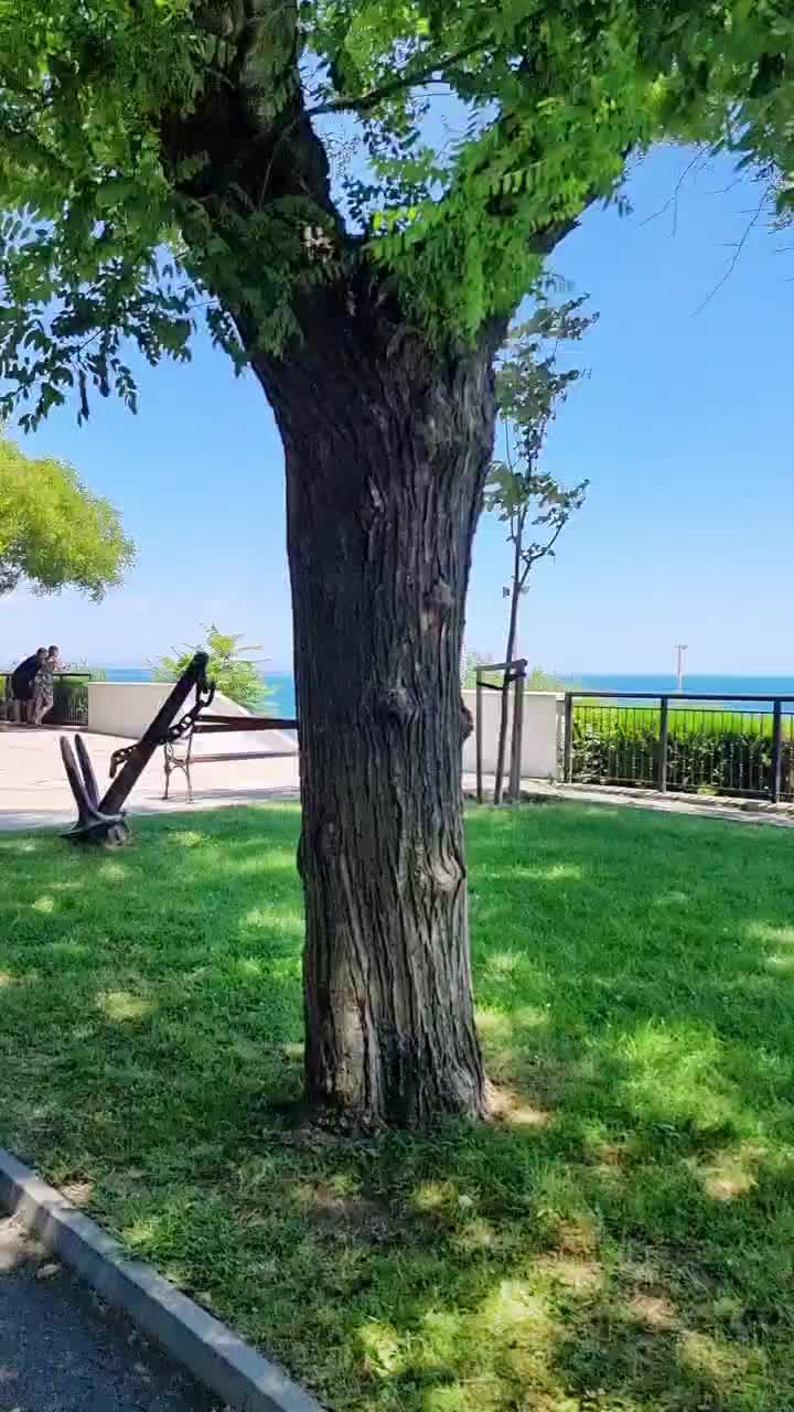 @Boychev