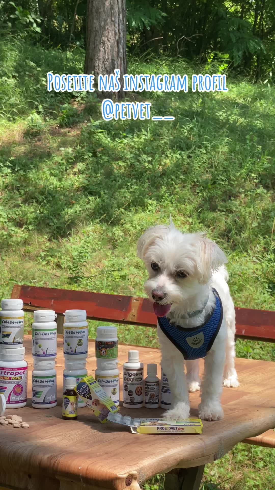 @Petvet