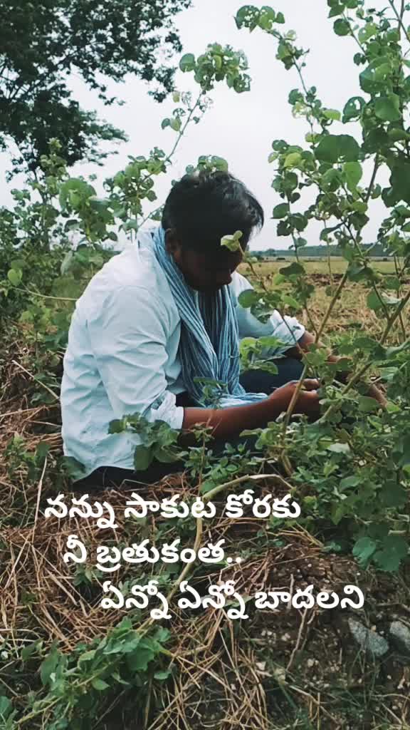 @మడుపల్లి రామారావు