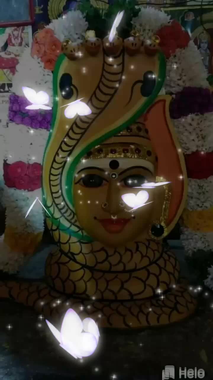 @user5108462079441