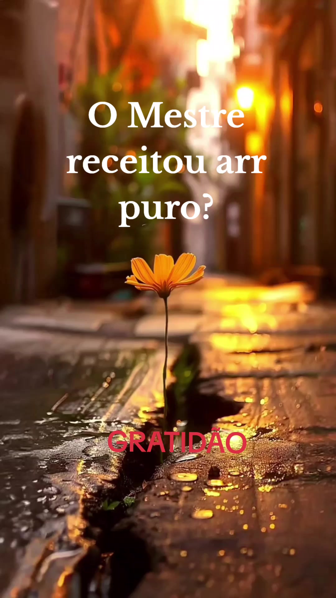 @👑@Justiça 💎🦅🌻