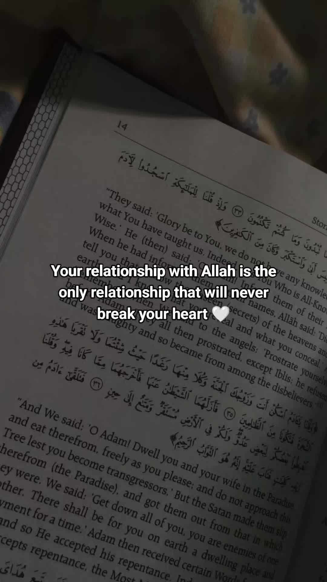 @مايا 🐧
