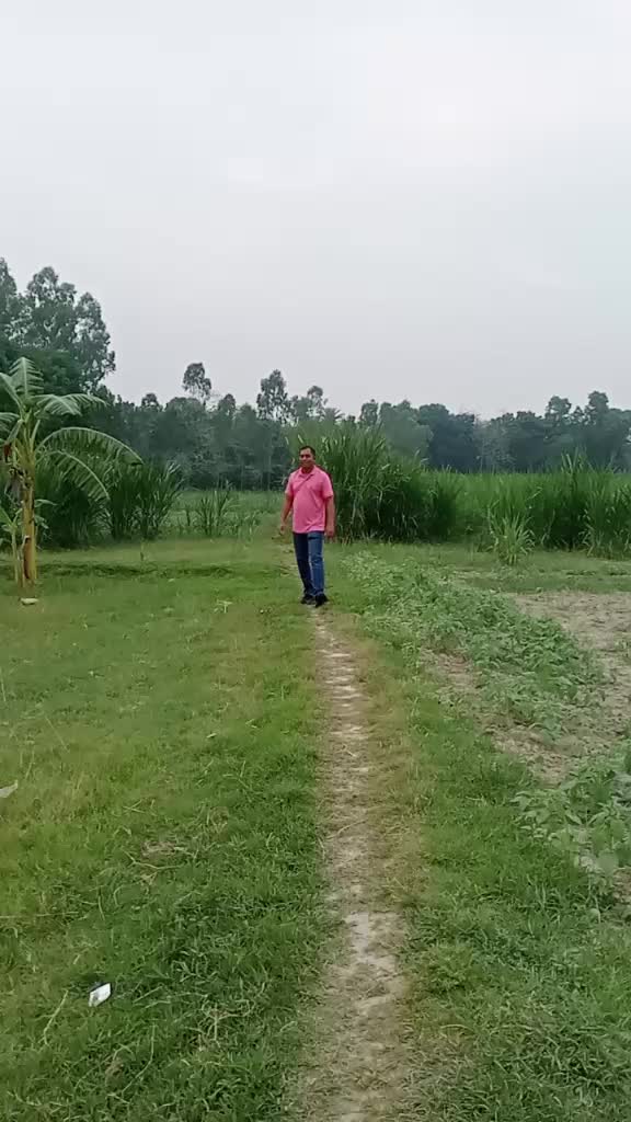 @Mahabubul Haque Milton