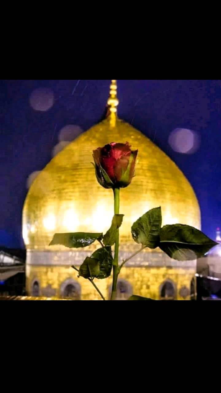@❤️🌹Seraj .07🌹❤️