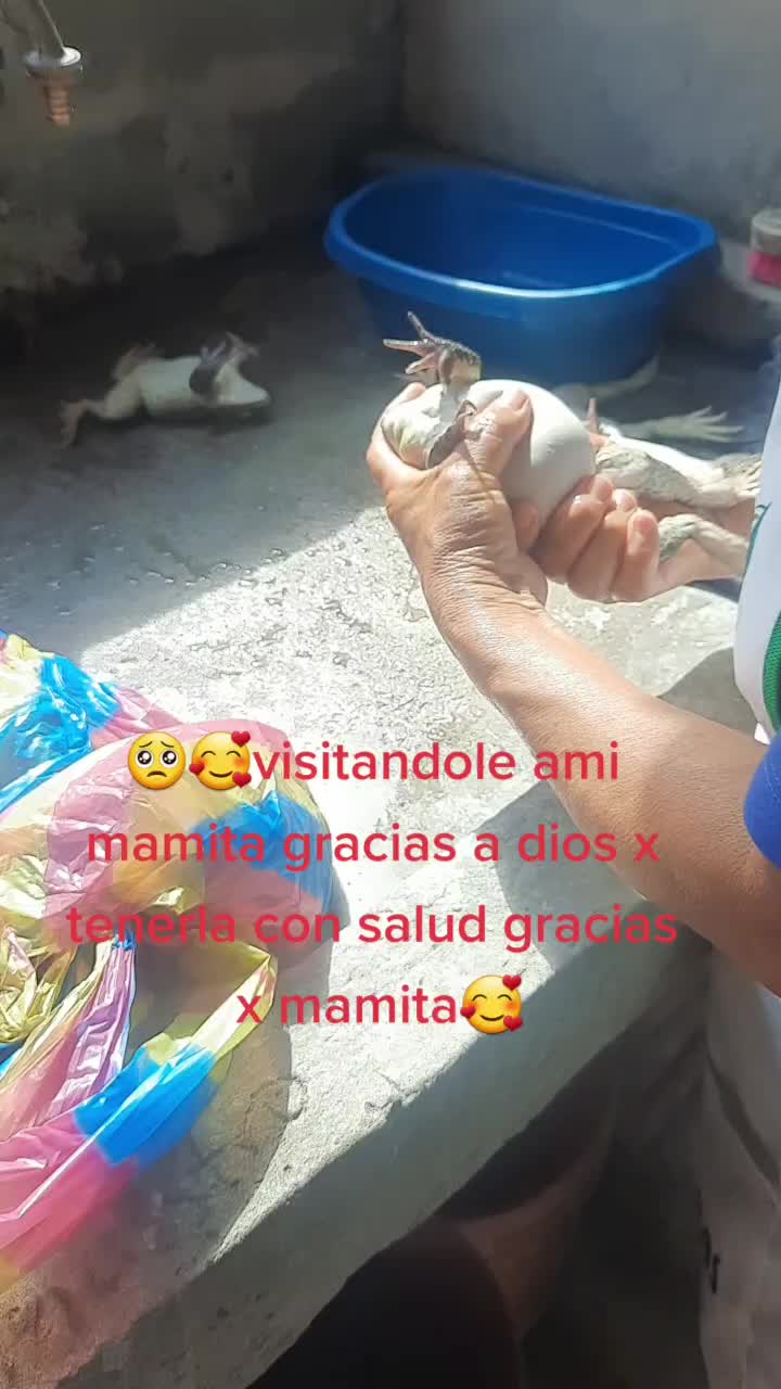 @Medelyn451