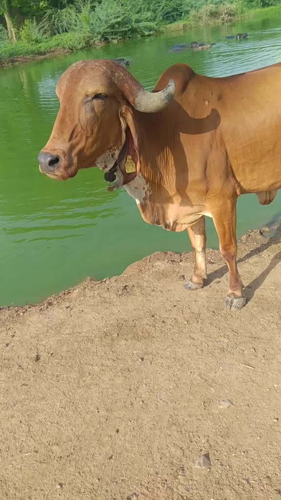 @vishal_aapa_7775
