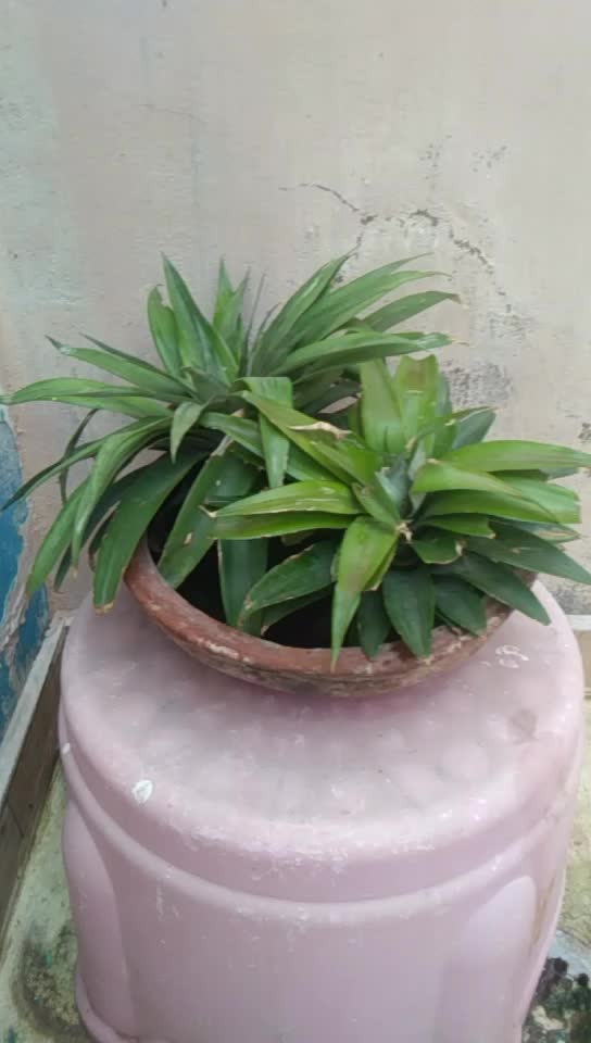 @venkat 12345 vvp