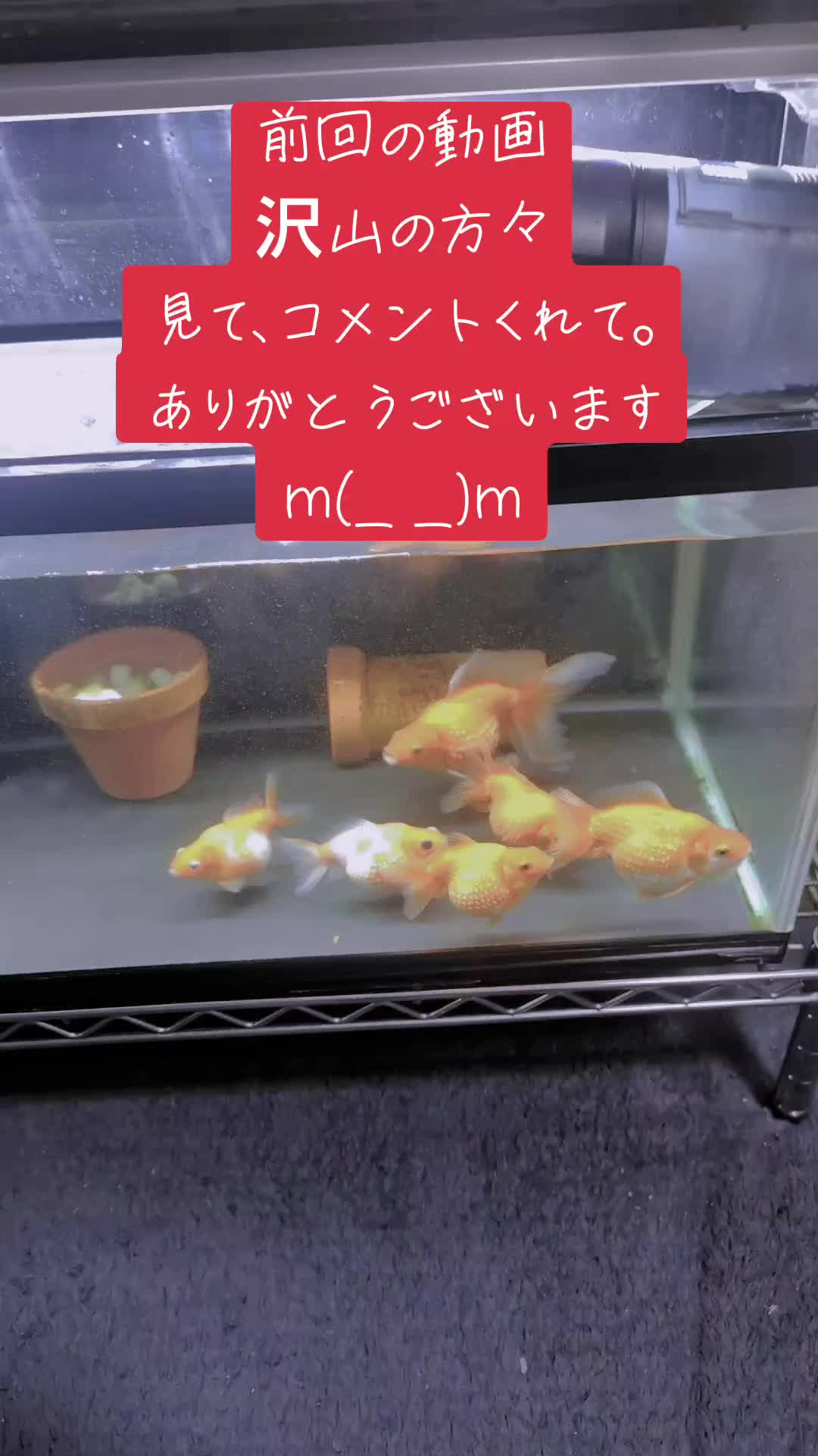 @オギマ